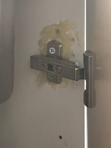 WhatsApp Image 2026-03-18 at 08.09.23 (1)