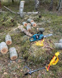 WhatsApp Image 2026-03-18 at 08.17.22