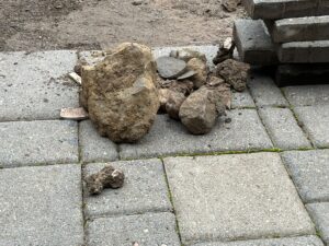 WhatsApp Image 2026-03-18 at 08.42.16 (2)